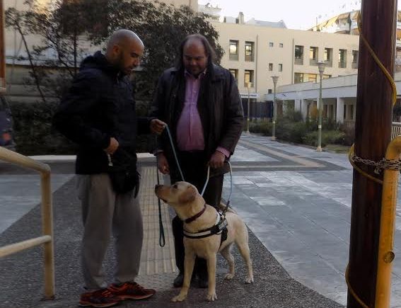 Θεσσαλονίκη: Ανεξάρτητη διαβίωση με λευκό μπαστούνι και σκύλους οδηγούς