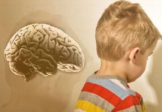 «Τοξικά χημικά απειλούν την ανάπτυξη του εγκεφάλου των παιδιών»