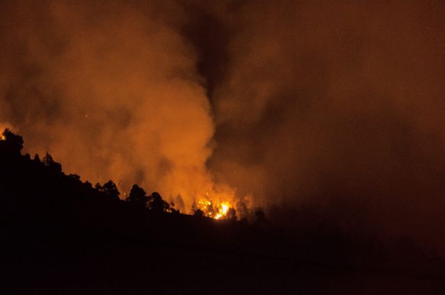 Φονική πυρκαγιά προκάλεσε Γερμανός που… έκανε την ανάγκη του σε δάσος