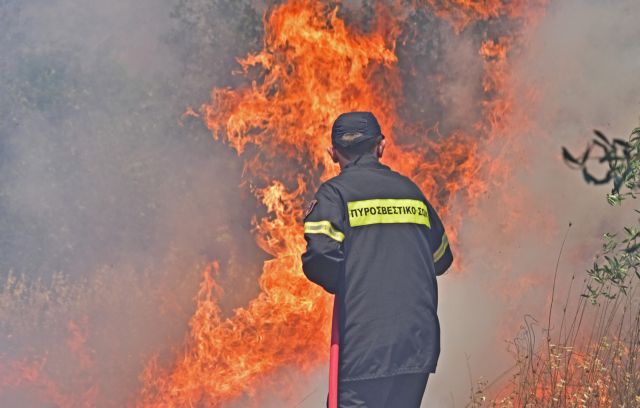 Υπό έλεγχο οι φωτιές σε Καλύβια, Εύβοια και Λειβαδιά