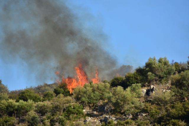 Φωτιά σε χαμηλή βλάστηση βόρεια της Αράχωβας