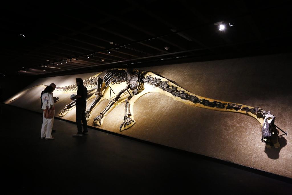 Ο σκελετός ενός πελώριου δεινόσαυρου σε μουσείο Φυσικής Ιστορίας στην Ελβετία