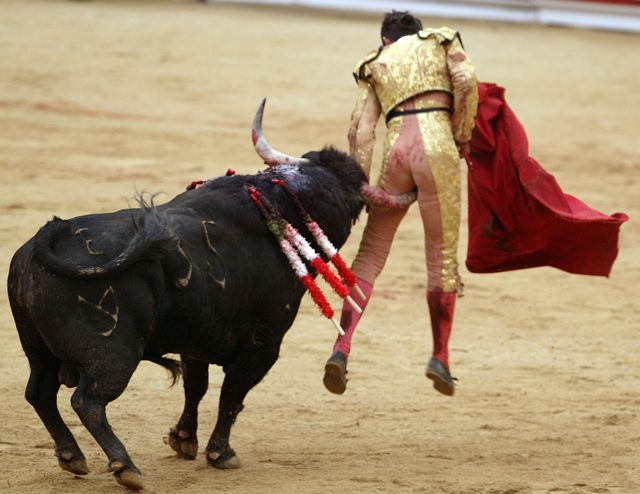 Ισπανία: Το Συνταγματικό Δικαστήριο ακύρωσε την απαγόρευση των ταυρομαχιών στην Καταλονία