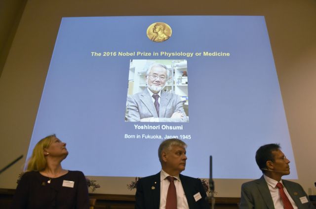 Ο Ιάπωνας Γιοσινόρι Οσούμι κέρδισε το Νόμπελ Ιατρικής 2016