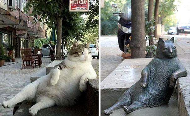 Σε άγαλμα μετατράπηκε ο πιο δημοφιλής γάτος της Κωνσταντινούπολης