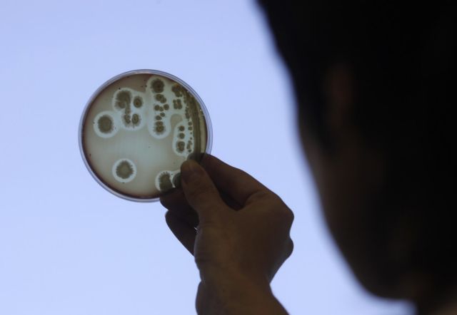 Βακτήρια εναντίον βακτηρίων στη μάχη κατά των ανθεκτικών λοιμώξεων