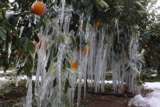 ΕΛΓΑ: Αμεσα να δηλώσουν οι αγρότες τις ζημιές από την κακοκαιρία