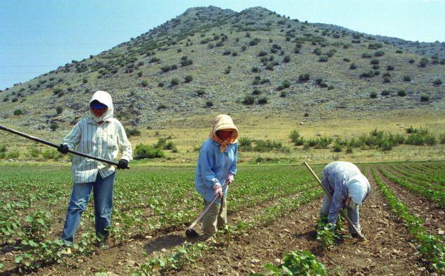 Οι νέες εισφορές των αγροτών από την 1η Ιανουαρίου