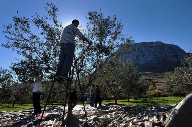 Οι παραγωγοί σχιστολιθικού πετρελαίου απειλούν ξανά τον ΟΠΕΚ