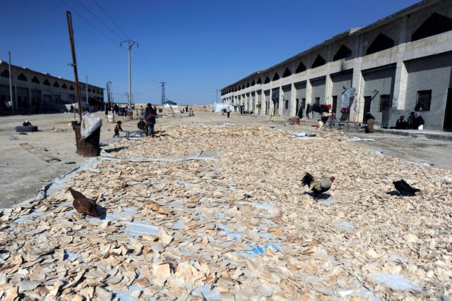 Σύροι τζιχαντιστές εκτέλεσαν δεκάδες αντάρτες στα δυτικά