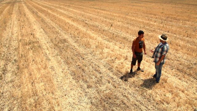 Ταινίες για το δίκαιο εμπόριο σε Αθήνα και Θεσσαλονίκη