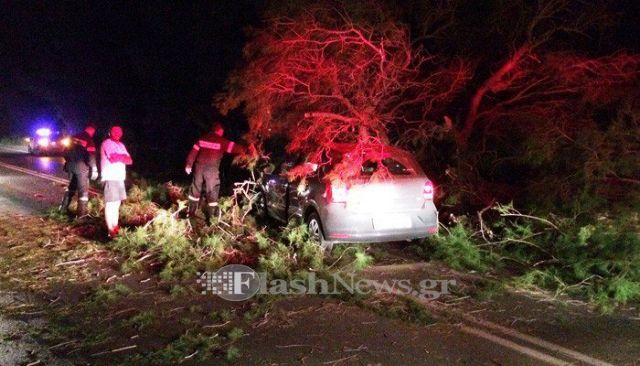 Δέντρο έπεσε σε ΙΧ τουριστών στην Εθνική Οδό Χανίων-Ρεθύμνου