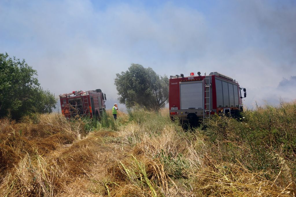 Υπό μερικό έλεγχο η φωτιά στο Κρυονέρι Αττικής