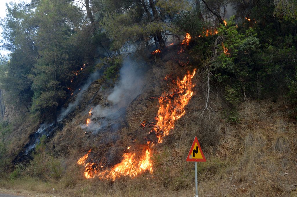 Υπό έλεγχο  η πυρκαγιά στην Αγία Άννα Εύβοιας