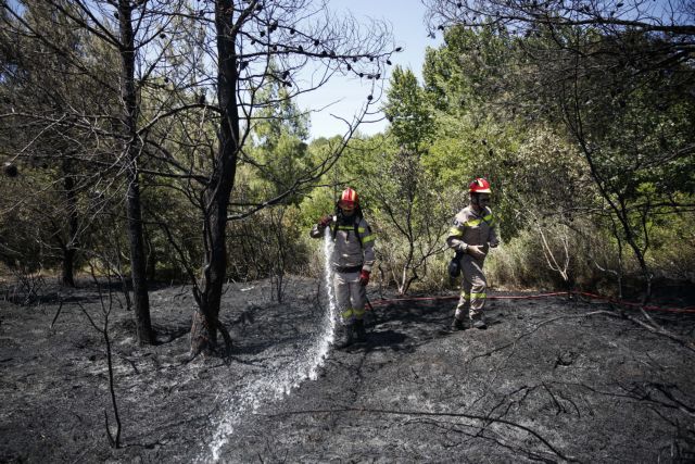 Υπό μερικό έλεγχο τα πύρινα μέτωπα σε Λαύριο – Κρυονέρι – Αρτέμιδα