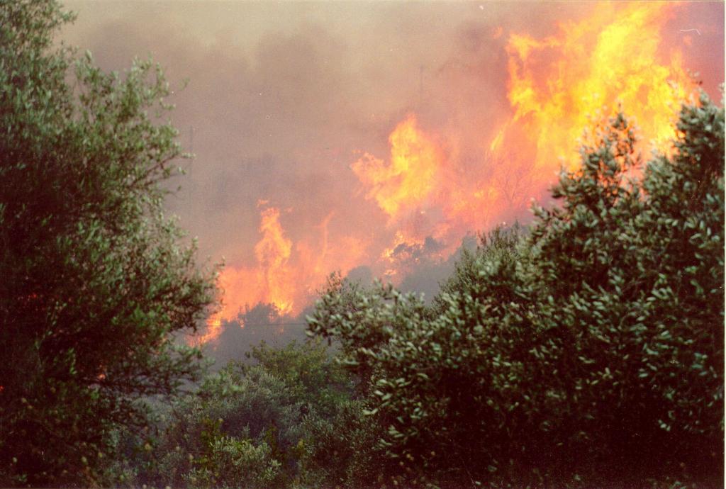 Πυρκαγιές σε Ηράκλειο, Βόλο, Αιτωλοακαρνανία