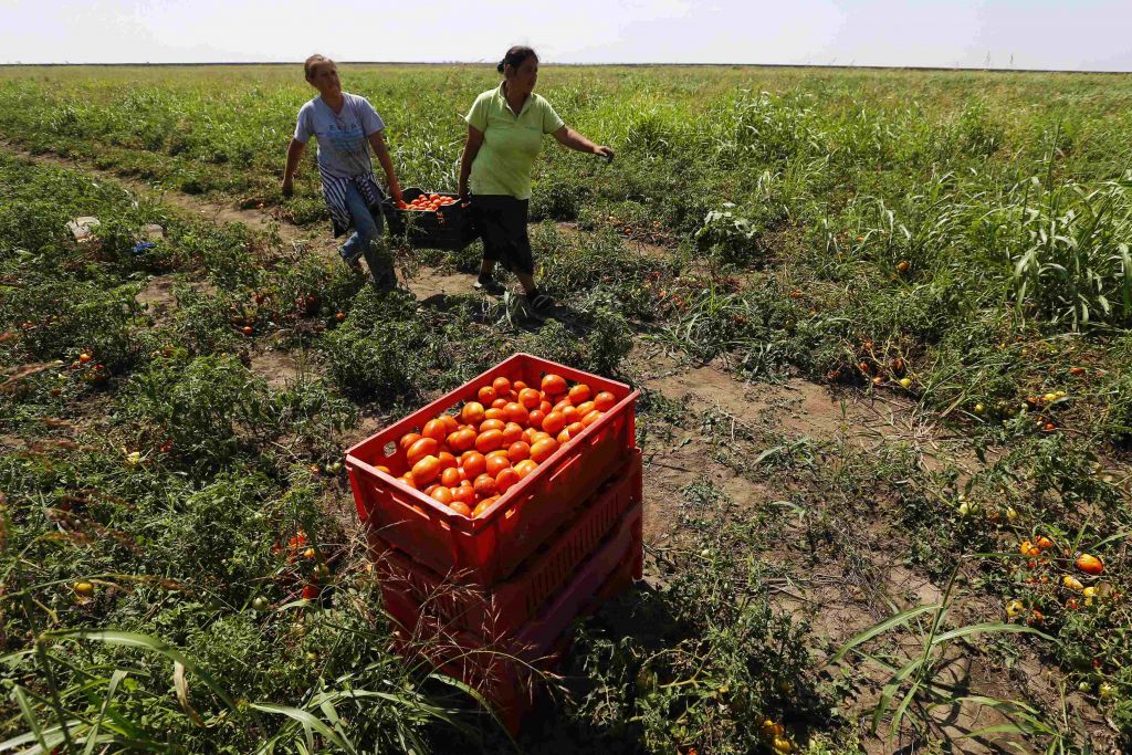 Στα εγχώρια προϊόντα στρέφονται οι Ρώσοι μετά τις κυρώσεις