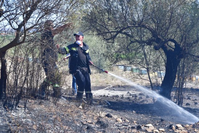 Σε ύφεση οι πυρκαγιές σε Αχαΐα και Αιτωλοακαρνανία