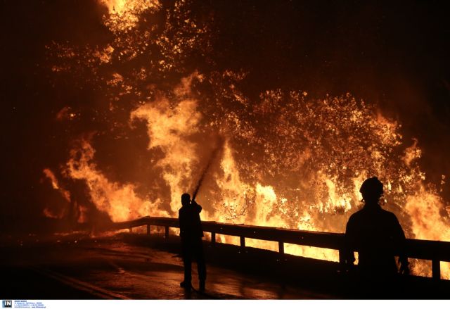 Δασαρχεία χωρίς αυτοκίνητα και δάση – πυριτιδαποθήκες