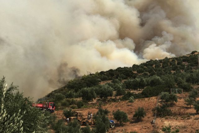 Πυρκαγιά σε δασική έκταση στο Μολύκρειο Αιτωλοακαρνανίας