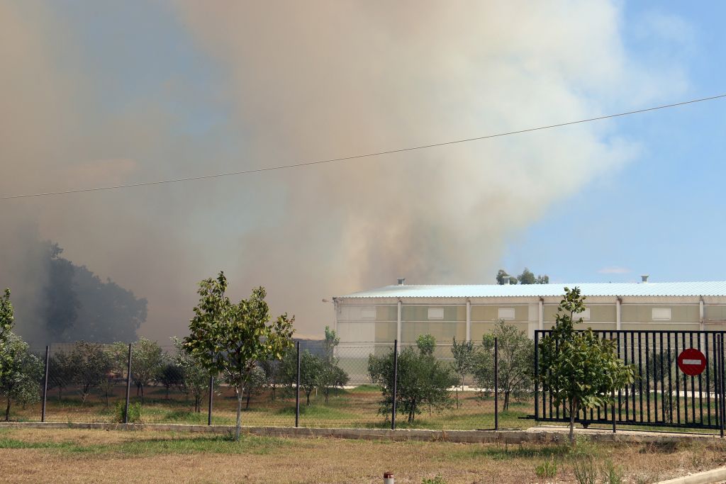 Φωτιά στην Πρέβεζα: Στάχτη εργοστάσιο ζυμαρικών και πολλά θερμοκήπια