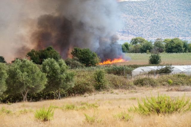 Υπό έλεγχο η πυρκαγιά περιφερειακά της λίμνης Βιστωνίδας