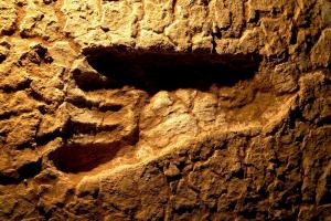 Βρέθηκε η αρχαιότερη μορφή ζωής στον πλανήτη