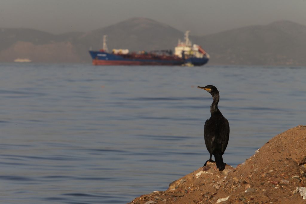 Διακοπή παραλαβής πετρελαίου λόγω λήξης πιστοποιητικών