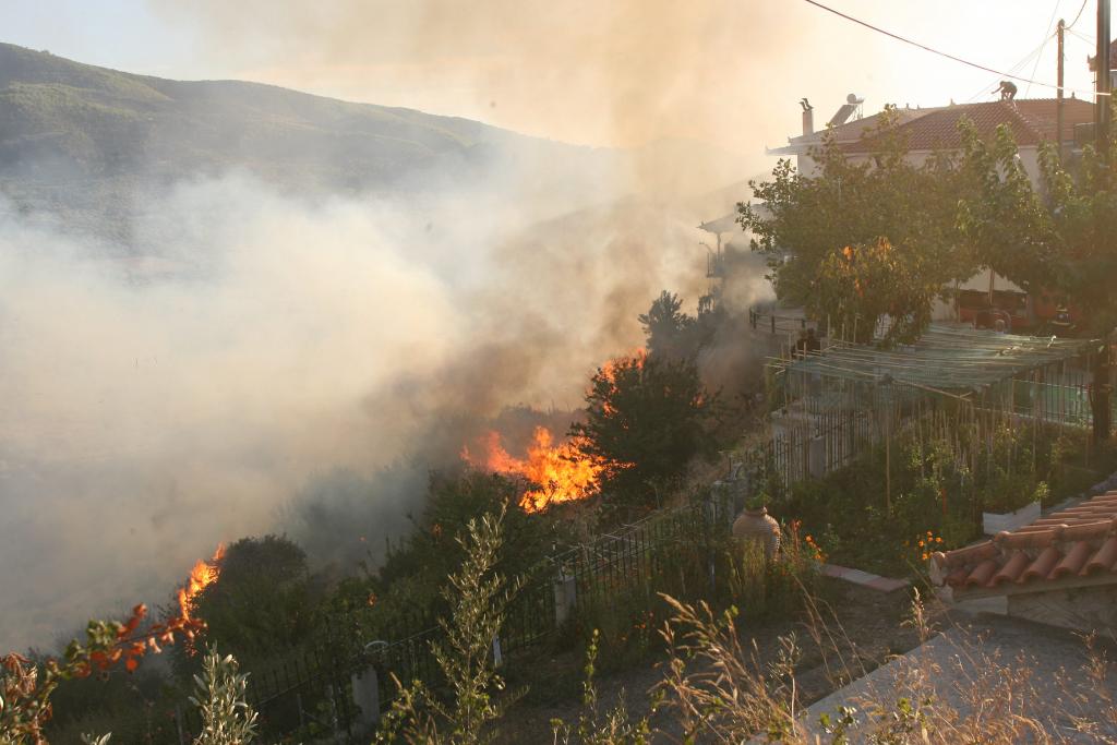 Πυρκαγιά στο Πολυδάμιο Φαρσάλων