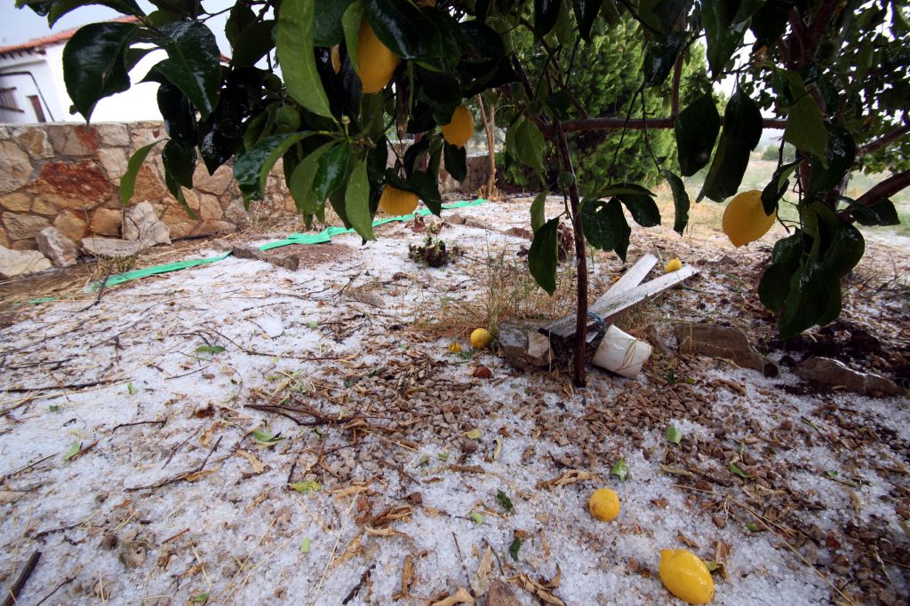 Μεγάλες οι ζημιές από το χαλάζι στη Φθιώτιδα