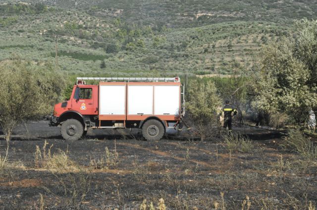 Φωτιά στο Πολυδένδρι Αττικής