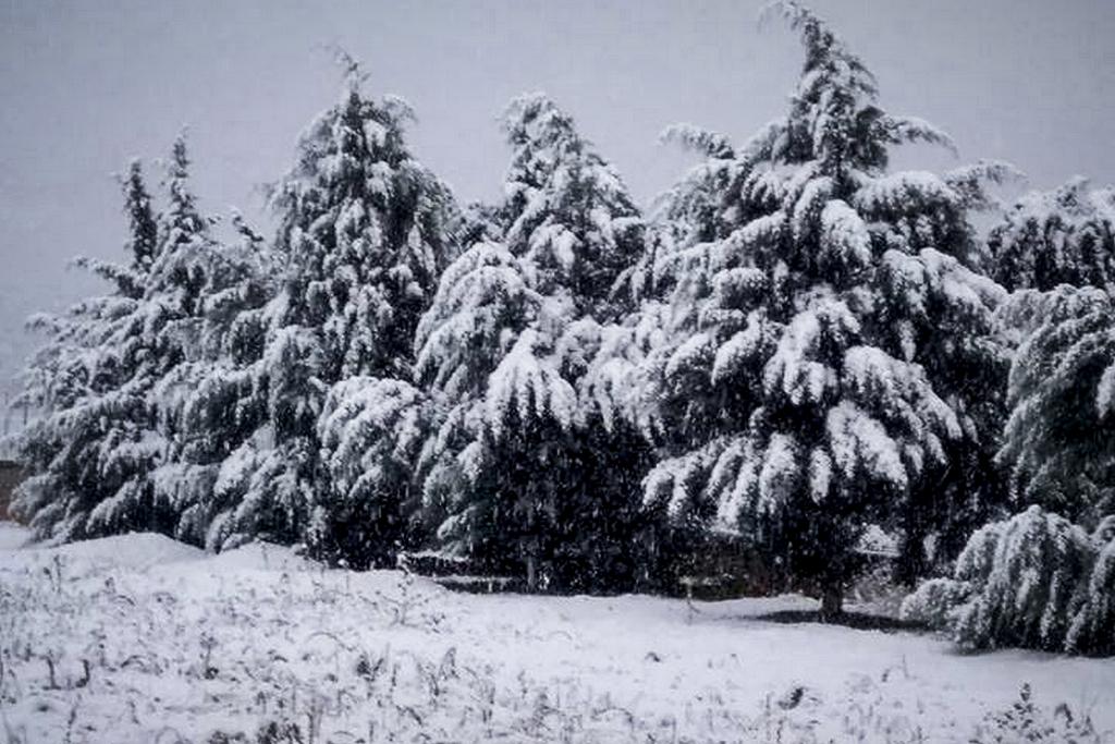 Σε ετοιμότητα η Περιφέρεια Αττικής για την αντιμετώπιση του χιονιά