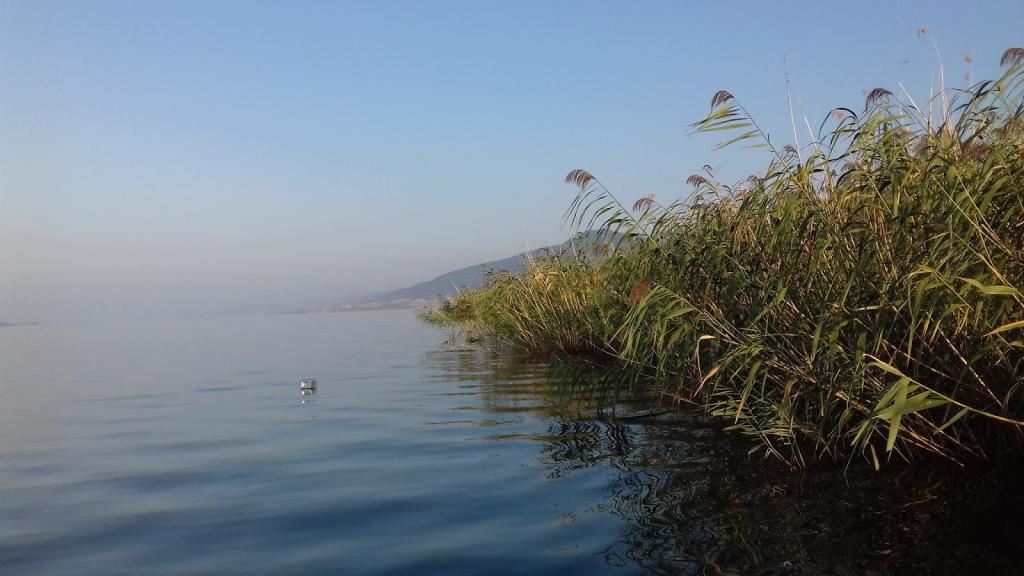 Συνεχίζονται οι έρευνες για τους δύο αγνοούμενους στη Βόλβη