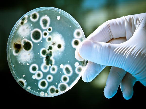 Το ανθρώπινο σώμα φιλοξενεί 57% βακτήρια, μύκητες και ιούς