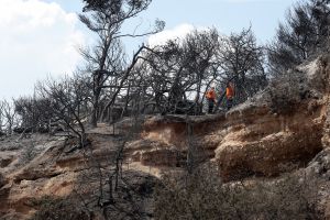 Ρ.ΕΥ.Μ.Α: Δέκα προτάσεις για να μην ξανακαούμε