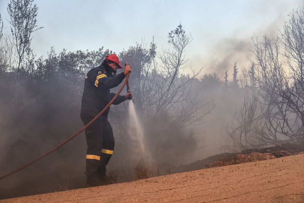 Μάχη με τις φλόγες στην Ηλεία