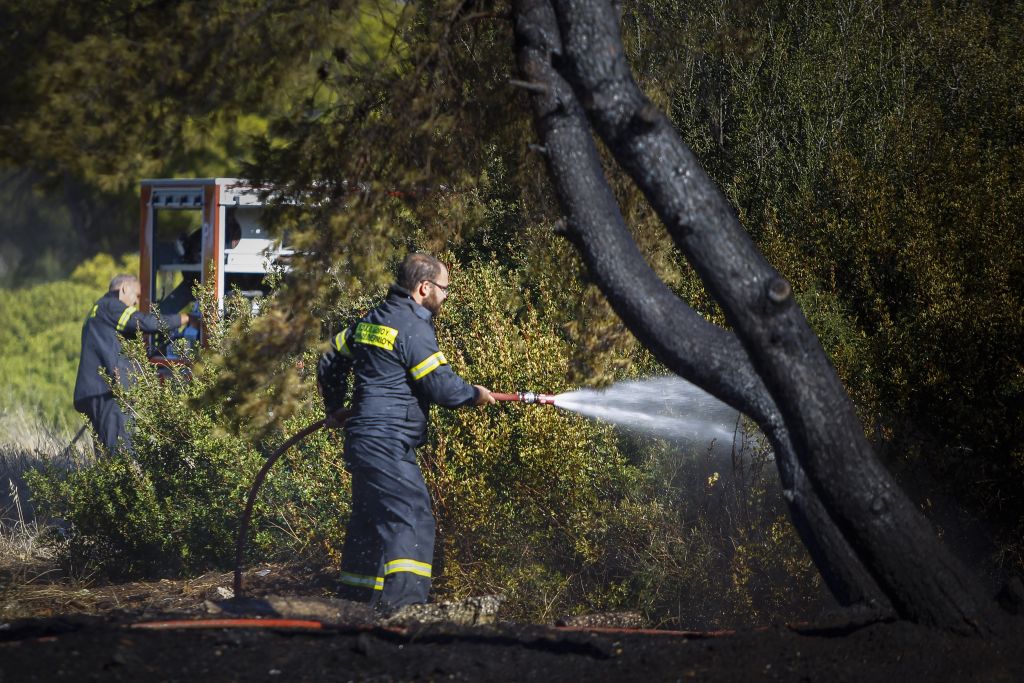 Πυρκαγιές σε Αγιο Στέφανο, Ιεράπετρα και Μυτιλήνη