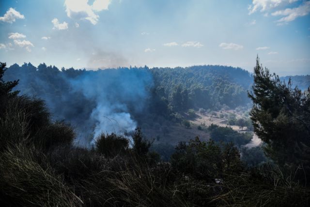 Περιφερειάρχης Δ.Ελλάδας: Ζητά απαντήσεις για τα αίτια των πυρκαγιών