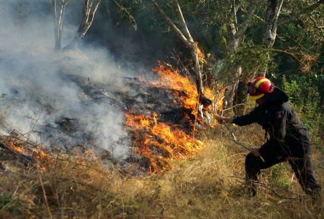 Εκκενώνεται το χωριό Δαφνιώτισσα Αμαλιάδας εξαιτίας δασικής πυρκαγιάς