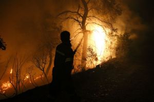 Συνεχίζεται η μάχη με τις φλόγες στην Εύβοια – Δύο ενεργά μέτωπα