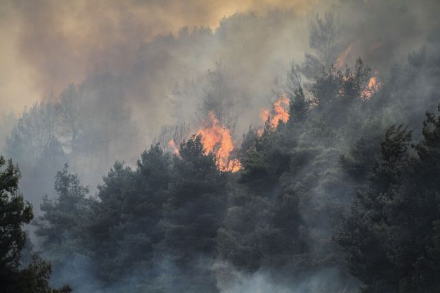 Πυρκαγιά σε δασική έκταση στον Τύρναβο
