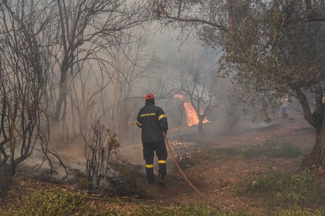 Μαίνεται πυρκαγιά στην Κέρκυρα – Εκκενώθηκε οικισμός
