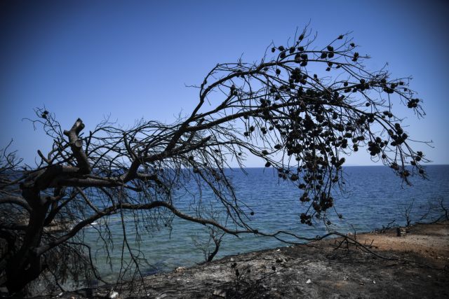 Μέρος των εισιτηρίων της 83ης ΔΕΘ θα διατεθούν στους πυρόπληκτους