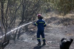 Υπό έλεγχο η φωτιά στα Λεχαινά