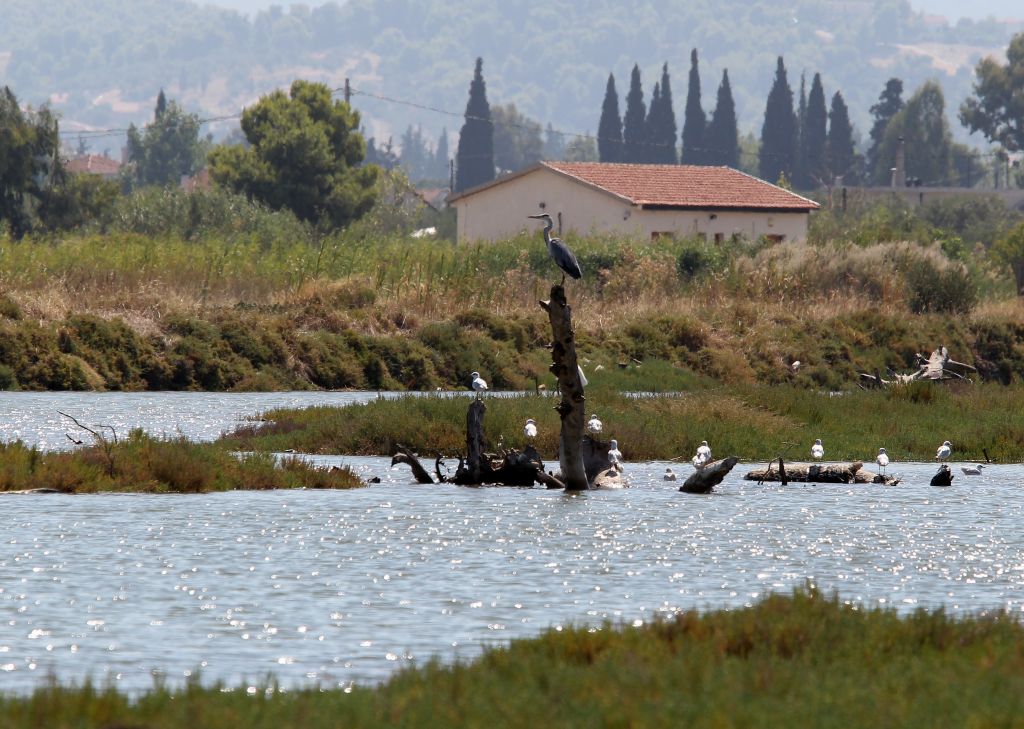 Προχωρά το σχέδιο εξυγίανσης του Ασωπού