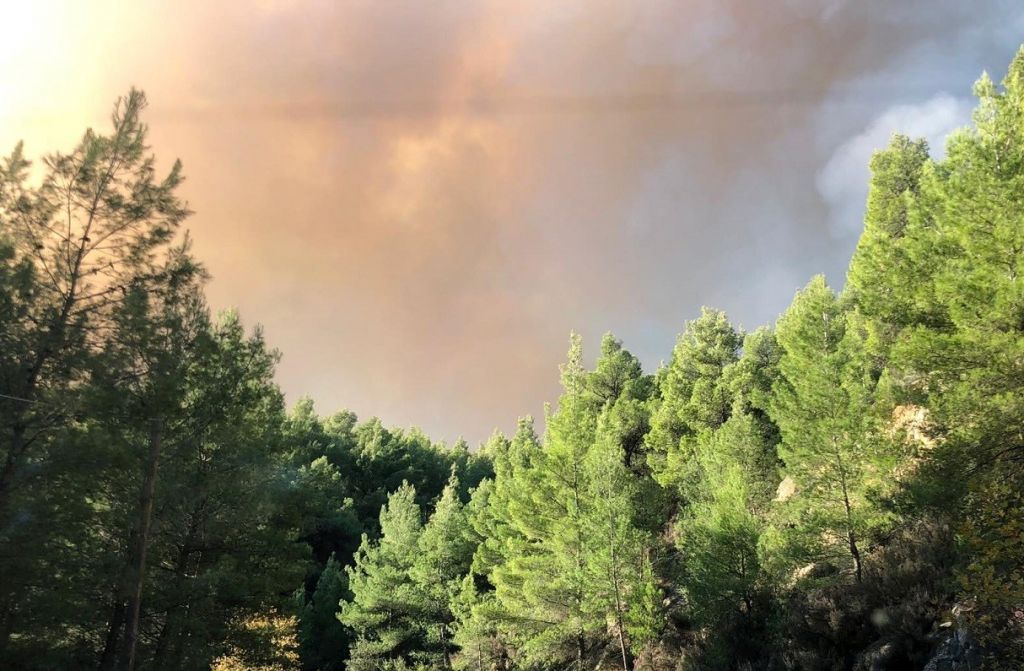 Φωτιά Χαλκιδική : Πύρινο μέτωπο τριών χλμ. – Εκκενώνεται ο Κάμπος