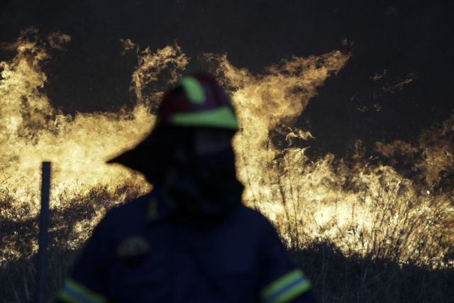 Ανεξέλεγκτη πυρκαγιά στη  Σιθωνία Χαλκιδικής