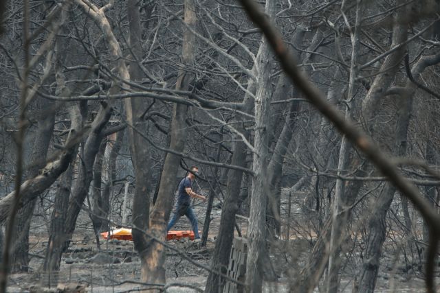 Φονική πυρκαγιά στο Μάτι : Τι αποκαλύπτει το πόρισμα Λιότσου