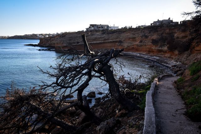 ΝΔ: Εκθετη η κυβέρνηση Τσίπρα μετά τις διώξεις για το Μάτι