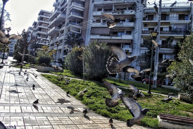 Θεσσαλονίκη: Μείζον πρόβλημα των ενοικιαστών Airbnb τα περιστέρια